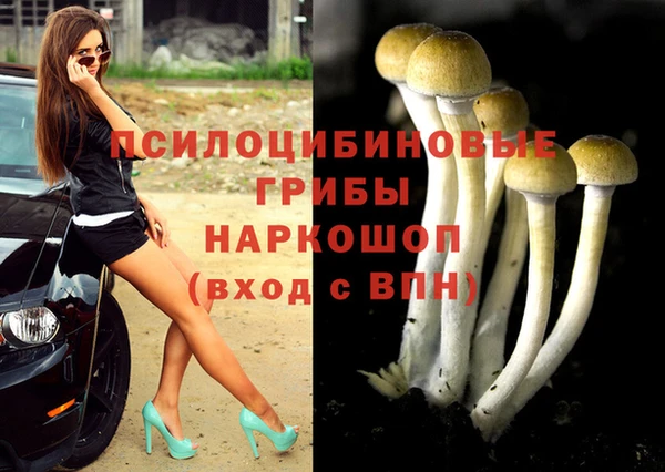 стафф Весьегонск