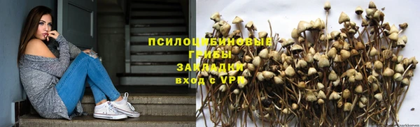 стафф Богородск