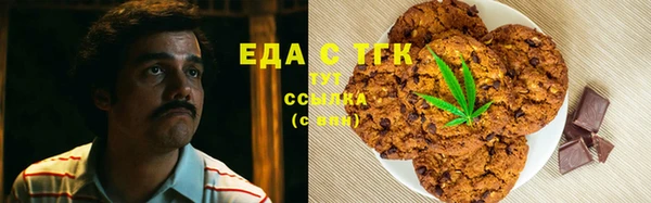 тгк Богородицк